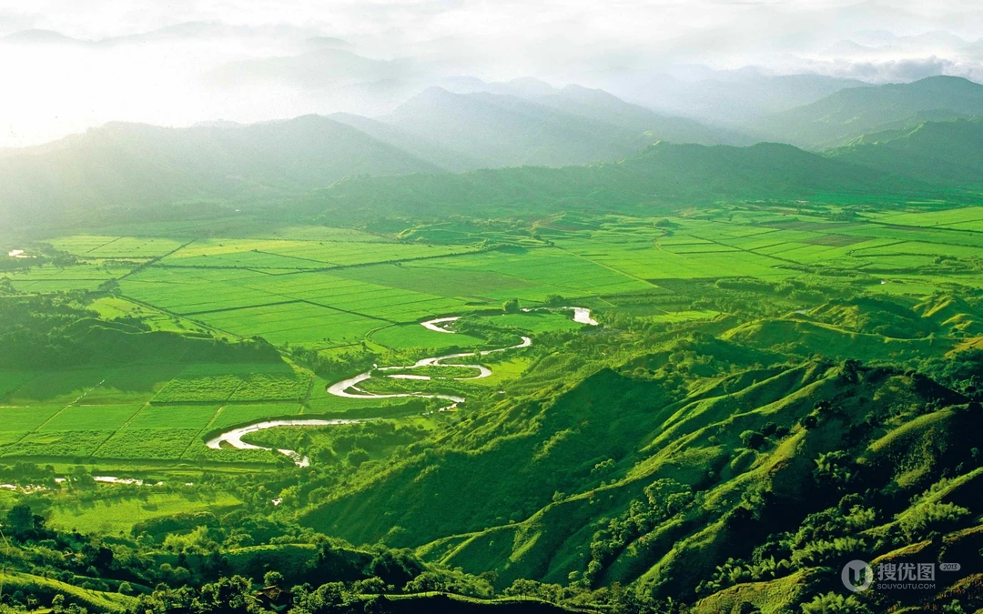茂密满山绿色的树木草地的自然风景壁纸合集
