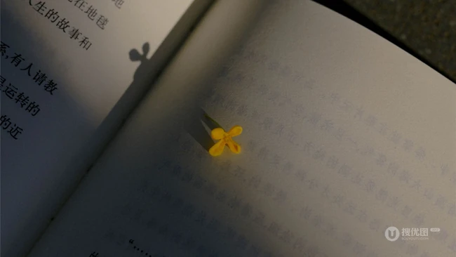 一本书，一瓶花，一个空房间，适合做伤感背景的唯美日系家居静物高清图片 第4张
