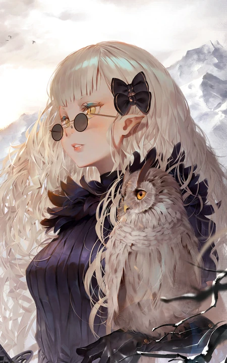 戴小墨镜，手上站只猫头鹰的训鹰少女个性手绘画手机壁纸