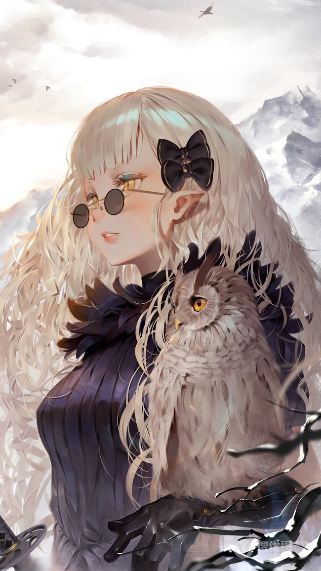 戴小墨镜，手上站只猫头鹰的训鹰少女个性手绘画手机壁纸