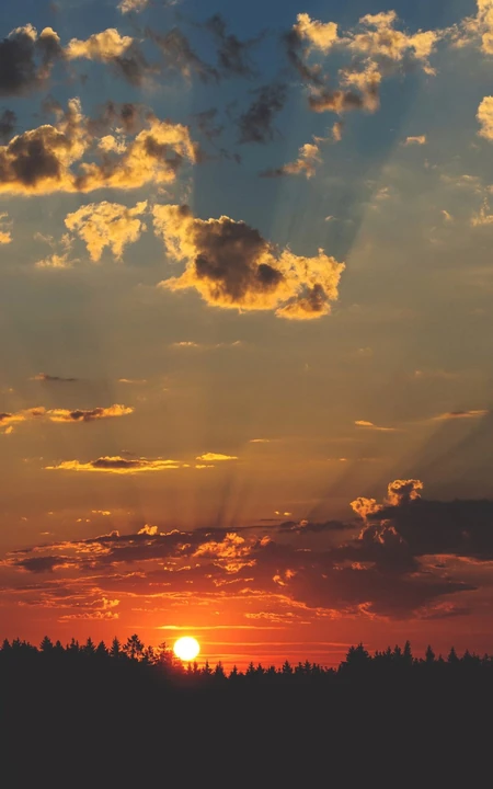 落日生晚霞，唯美的森林晚霞高清手机壁纸