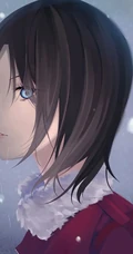 两仪式，动漫FGO和轻小说《空之境界》女主角人物两仪式图集44p