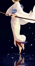 两仪式，动漫FGO和轻小说《空之境界》女主角人物两仪式图集44p