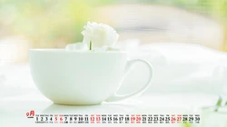 清新简约电子产品、以及瓶子主题的2020年9月日历桌面壁纸图片