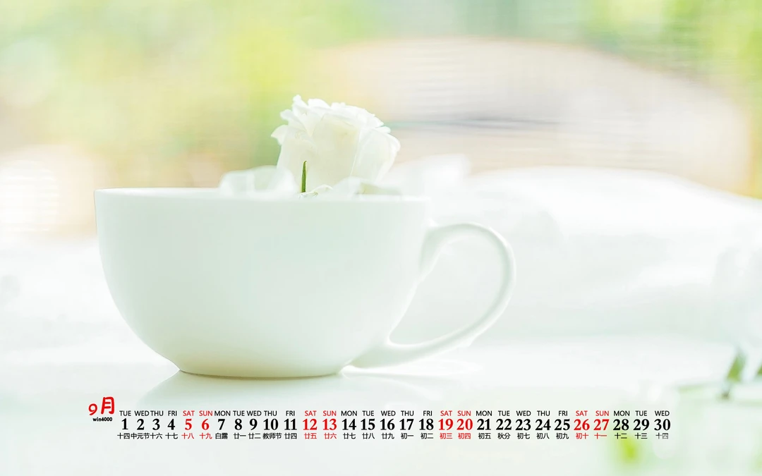 清新简约电子产品、以及瓶子主题的2020年9月日历桌面壁纸图片