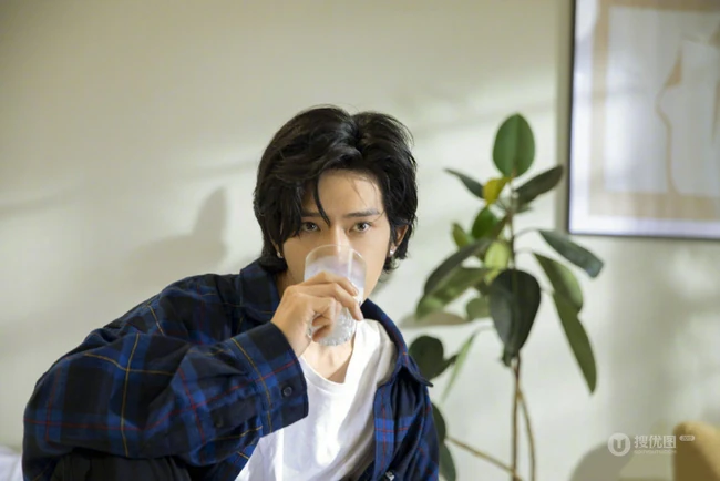 帅的清新自然，井柏然靠窗而立绿意盎然复古写真图片