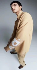 浓眉大眼，高鼻梁，小平头帅哥宋威龙一袭暖黄色大衣着身帅气俊朗写真照片