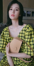 乔欣慵懒气质V领格纹连衣衫写真图片