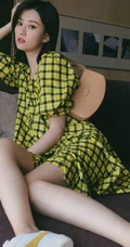 乔欣慵懒气质V领格纹连衣衫写真图片