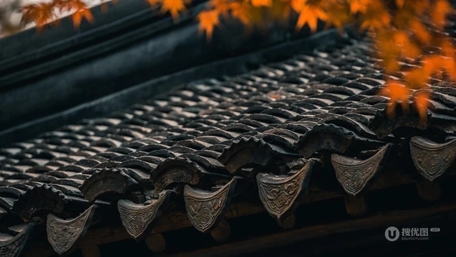 中国四大名园之一苏州拙政园里的老墙，黑瓦，落叶等复古色意境图片 第7张
