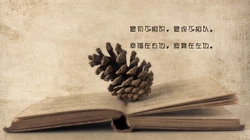 一个人寒了心的，看着就让人心疼，最凉人心，想开了看淡了的文字壁纸图片