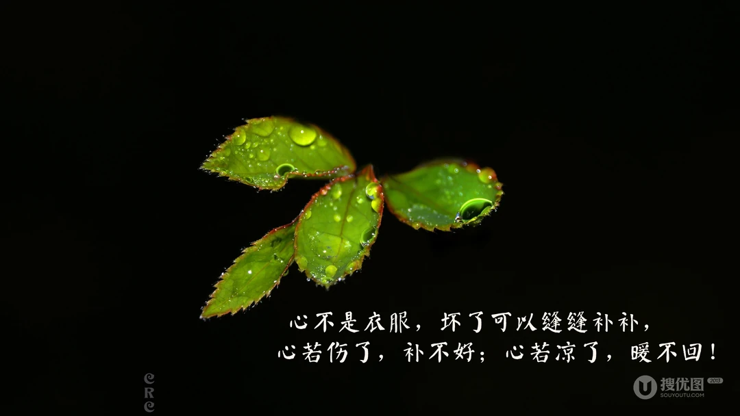 一个人寒了心的，看着就让人心疼，最凉人心，想开了看淡了的文字壁纸图片