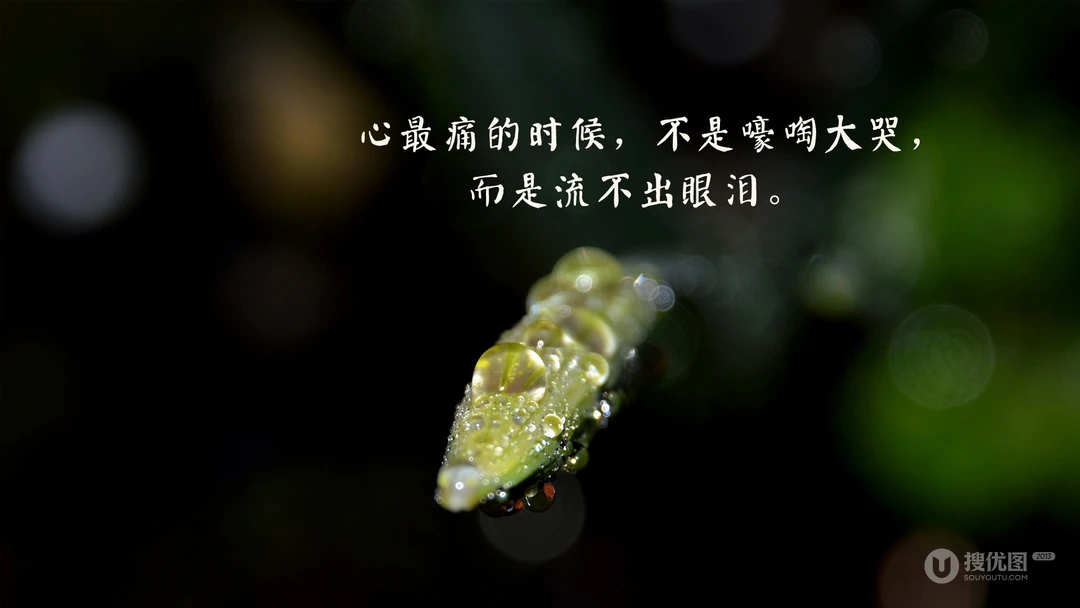 一个人寒了心的，看着就让人心疼，最凉人心，想开了看淡了的文字壁纸图片