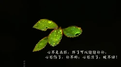 一个人寒了心的，看着就让人心疼，最凉人心，想开了看淡了的文字壁纸图片