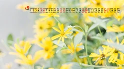 简约唯美清新公园景色背景图片，一看就很舒心的2020年9月日历壁纸图片