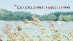 简约唯美清新公园景色背景图片，一看就很舒心的2020年9月日历壁纸图片