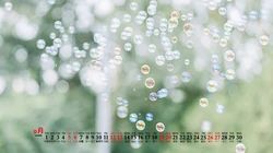 简约唯美清新公园景色背景图片，一看就很舒心的2020年9月日历壁纸图片