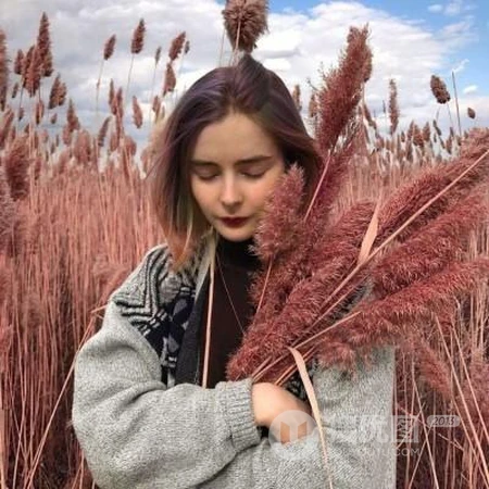 好看的欧美高级脸女生，各种不同复古气质的ins超火欧女生生微信头像图片