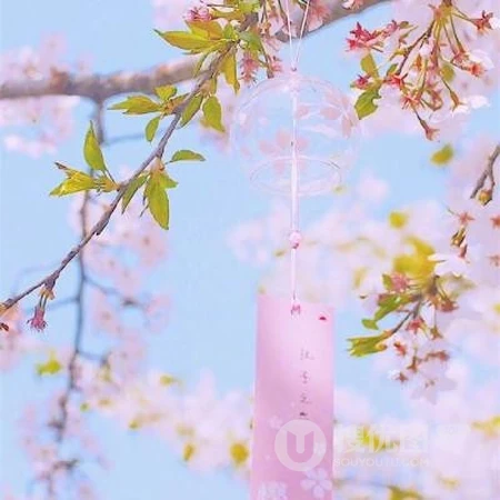 能让人心情阳光的简约，干净，小清新花草鸟风景自带好运系列头像图片