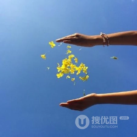 能让人心情阳光的简约，干净，小清新花草鸟风景自带好运系列头像图片