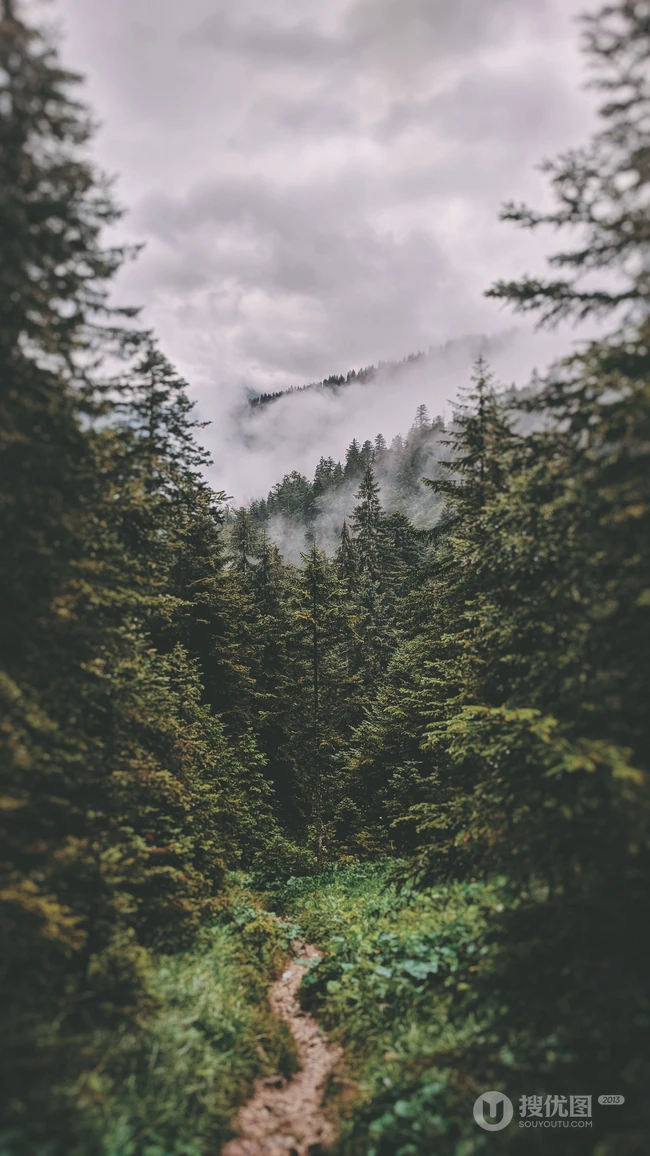 山清水秀，高清好看的森林山水风景手机壁纸合集推荐
