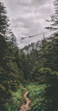 山清水秀，高清好看的森林山水风景手机壁纸合集推荐