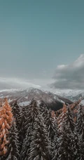 山清水秀，高清好看的森林山水风景手机壁纸合集推荐
