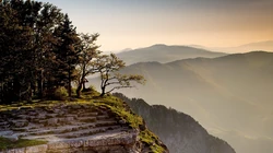 绿色护眼森林壁纸，美丽让人心旷神怡的山水风景超清桌面壁纸