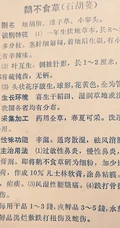 鹅不食草图片，野外生长翠绿的治鼻炎草本植物鹅不食草图片