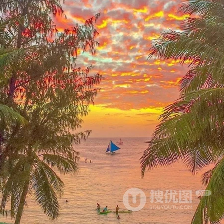 像朝阳或夕阳一般的超美橘红色系风景，夕阳，大海，静物等微信头像