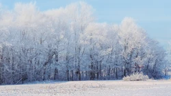 让人心旷神怡的雪山壁纸套图，白茫茫的雪山太美了