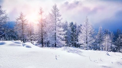 让人心旷神怡的雪山壁纸套图，白茫茫的雪山太美了