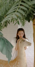 郑合惠子在画室里，或和可爱梅花鹿雕塑合影美照