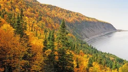 青山绿水万物复苏，很美的山水风景摄影高清壁纸