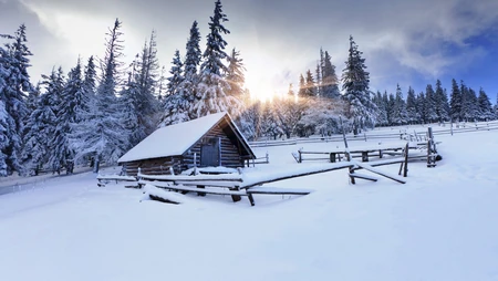 大雪覆盖的树林，林中雪堆中耸立的小木屋的风景电脑壁纸
