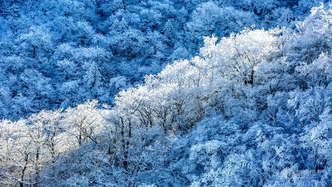 冬季的树林挂满了冰锥，白茫茫的冰封大山风景高清壁纸