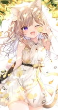 狐狸耳朵或兔耳朵二次元少女高清插画图集欣赏