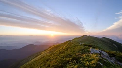 生机勃勃的森林山水，赏心悦目的大山风景壁纸合集推荐