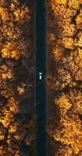 高清航拍各类穿梭于林中的公路等风景4K手机壁纸