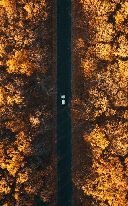 高清航拍各类穿梭于林中的公路等风景4K手机壁纸