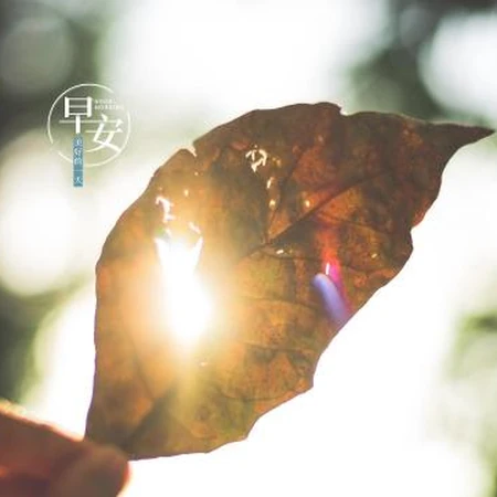 秋意浓浓的早安你好图片，以树叶，麦田等植物为背景的早安最美文字图片