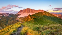 生机勃勃的大山森林风景超清壁纸