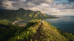 生机勃勃的大山森林风景超清壁纸