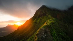 生机勃勃的大山森林风景超清壁纸