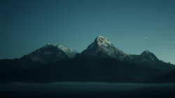 生机勃勃的大山森林风景超清壁纸