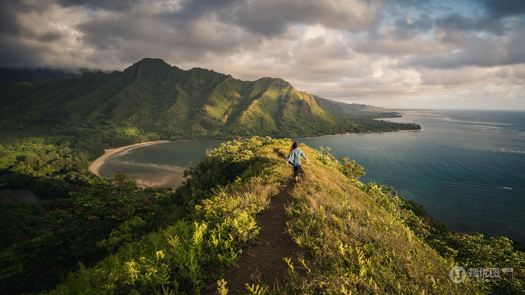 生机勃勃的大山森林风景超清壁纸