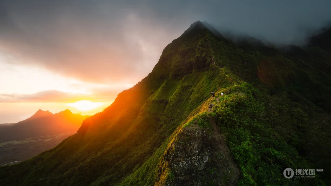生机勃勃的大山森林风景超清壁纸