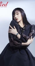 孔雪儿高冷十足唯美写真