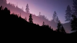 美轮美奂的大山森林风景高清壁纸9月28日推荐