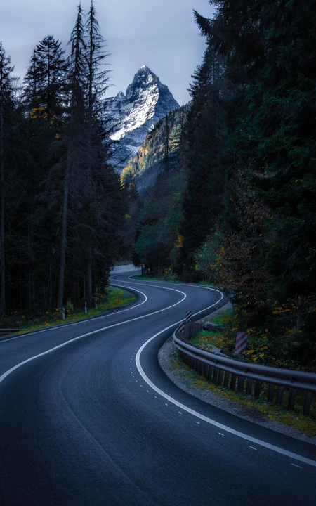 穿梭于森林的S型公路风景